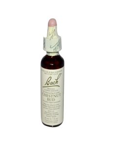 Flower Essence Chestnut Bud 20ml