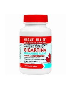 Vibrant Health Gigartina RMA 250mg 60 Veg Caps