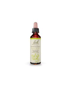 Flower Essence Honeysuckle 20ml