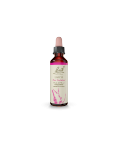 Flower Essence Larch 20ml