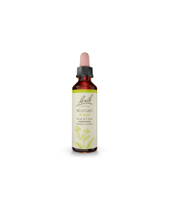 Flower Essence Mustard 20ml