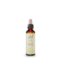 Flower Essence Olive 20ml